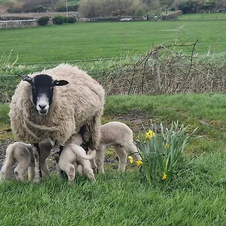 度假居 The Old Bank At St Bees, Western Lakes 圣比斯